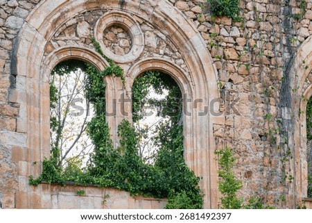 Old stone wall with arched window of ancient abandoned stone building overgrown by ivy. Haunted ruined house facade covered with green plants. Post apocalyptic, creepy and spooky, romantic ruin
