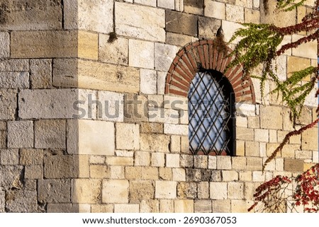 Old stone wall with arched window framed by ivy vines, lit by warm golden sunlight, textured historic architecture.