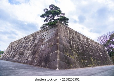 Old Stone Wall Of Edo Castle