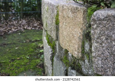 Old Stone Wall In Garden Close-up