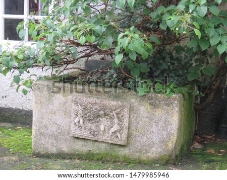 An old stone water trough being used as a planter