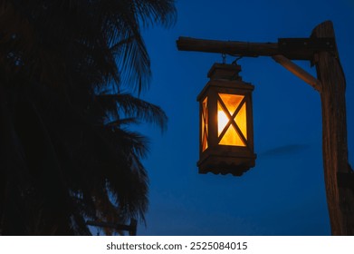 An old street lamp illuminating a dark street with palm trees. - Powered by Shutterstock