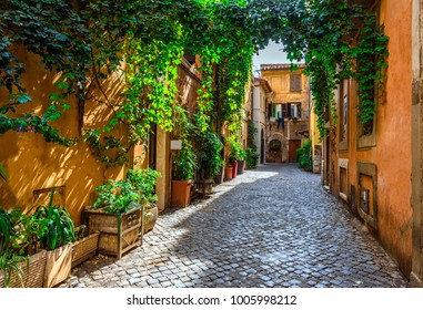 Rome Images Stock Photos Vectors Shutterstock