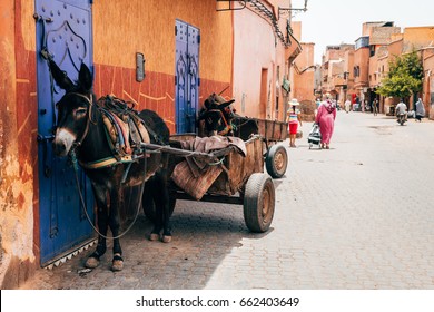Old Streets Of Marrakech Medina, Morocco