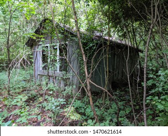 Old structure found in forest 