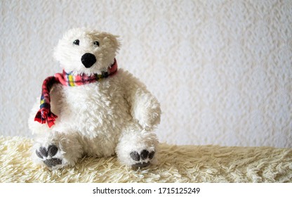 An Old Stuffed Polar Bear On The Sofa.