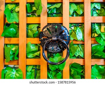 Green Knob Images Stock Photos Vectors Shutterstock