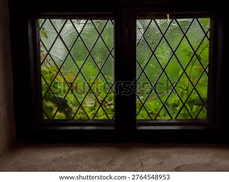 Old style window with view on a green lush garden. Shadows fall soft through diamond-patterned panes. Nature thrives beyond, vibrant and untamed. Cozy interior contrasts with stormy outdoor view