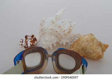 Old Swimming Goggles And  Different Seashells