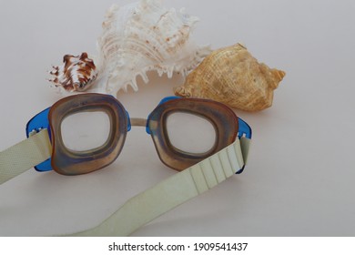 Old Swimming Goggles And  Different Seashells