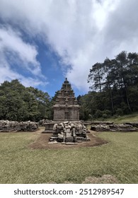 old tample in the forest 
