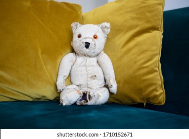 Old Tattered Teddy Bear Against Velvet Cushions