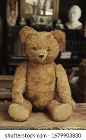 
Old Teddy Bear In An Attic