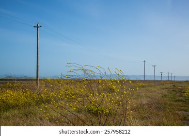 Old Telephone Lines In A Field.