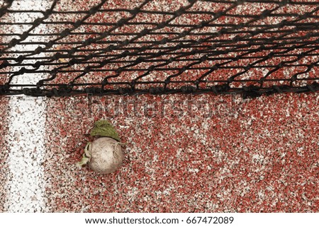 old tennis ball in the court