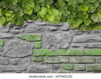 Old Texture brick wall, background, detailed pattern covered in ivy