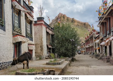 Old Tibetan House In Ancient City, Gyantse, Gyantse County, Tibet, China