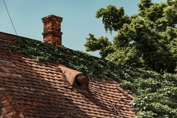 Old Tiled Roof With Brick Chimney And A Rusty Ventilation Hole. Ivy Veins Growing On The Rooftop. Concept Of A Abandoned House
