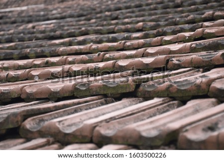 Similar – Image, Stock Photo #A# Roof growth Esthetic