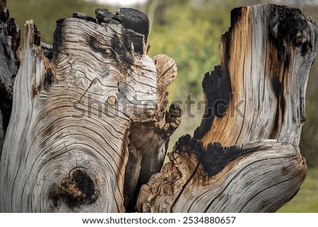old timber textures with burn marks and cracks