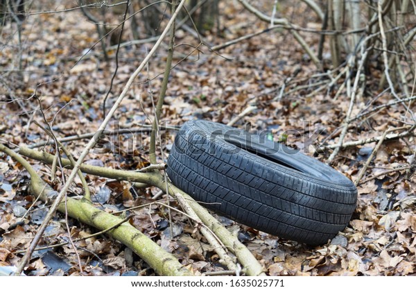 old\
tire in the forest, pollution of nature car\
tires