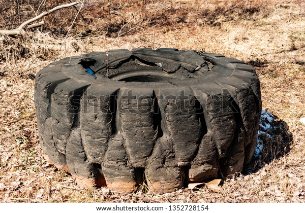 Old tire of quarry dump\
truck