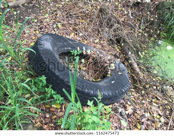 old\
tire trow as garbage, environment problem concept.\
