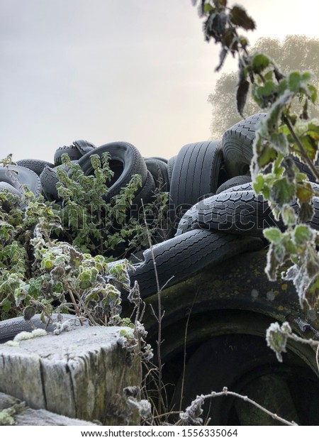 Old tires.\
Used rubber tires dumped in a field with weeds growing over them on\
a cold morning. Example of industrial waste illegally dumped in\
natural environment. UK rural\
crime.