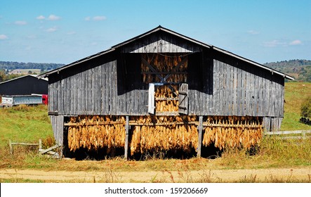 Tobacco Barn Images Stock Photos Vectors Shutterstock