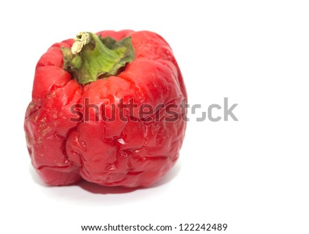 old tomato on white background