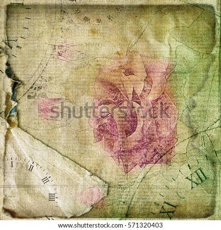 Old torn crumpled paper  with hand drawn rose. Vintage background for design