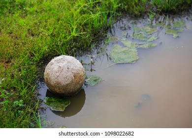 Old Torn Soccer Ball Thrown Lies In Water