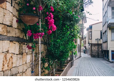 Old Town Antalya Turkey Small Street Beautiful Landscape