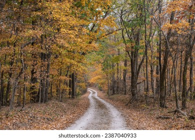 Old Trace section of the Natchez Trace Parkway road in Tennessee, USA during the fall season. This is one of two locations along the Parkway where travelers can drive on the Old Natchez Trace. 