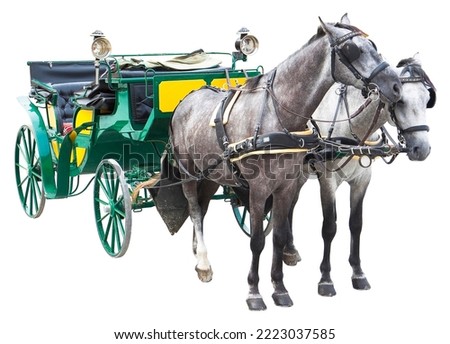 Old traditional carriage pulled by a gray couple of horses - image isolated on white background for easy selection