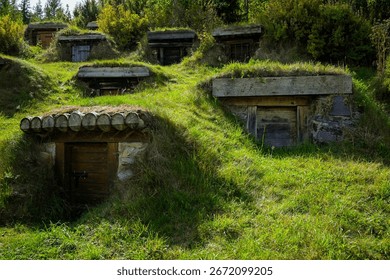 Old, traditional root cellars dot a grassy hillside, showcasing a historical method of food preservation.