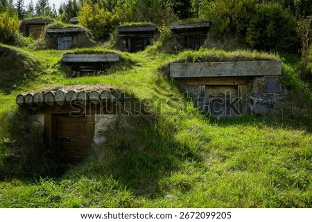 Old, traditional root cellars dot a grassy hillside, showcasing a historical method of food preservation.