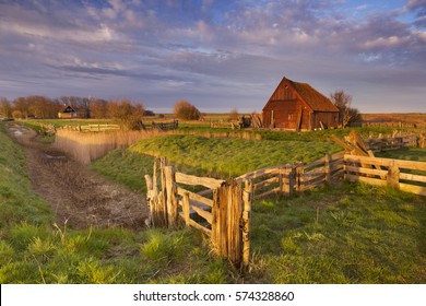 An old traditional sheep barn or 'schapenboet' on the island of Texel in The Netherlands in early morning sunlight.