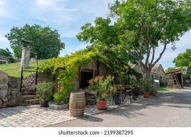 old traditional wine cellar row in Purbach Austria next to Lake Neusiedl .