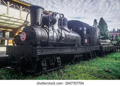 Old train in Alishan Natural Park