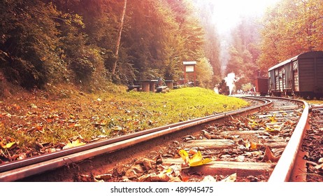 old train in the forest