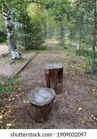 An old traintrack in forest