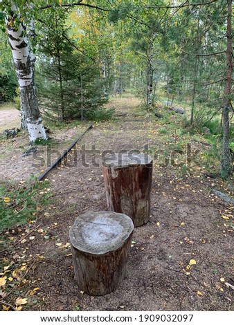 An old traintrack in forest