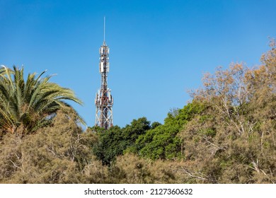 Old transmission mast with rust for cell phones, cell phone transmission mast for mobile internet with palm trees and plants