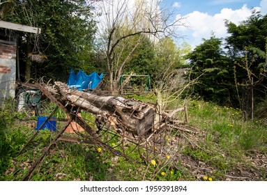 Old Tree Trunk On A Saw Horse