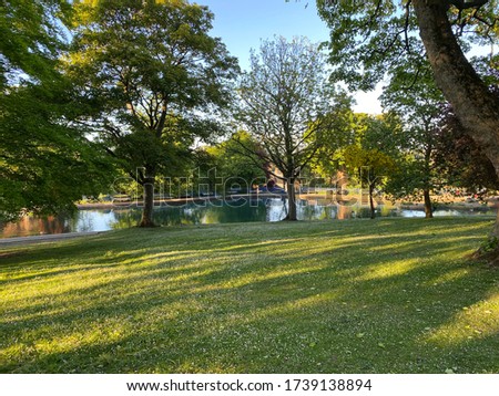Old trees, set in a park meadow with flowers, and a lake in the distance, late spring day in, Lister Park, Bradford, Yorkshire, England