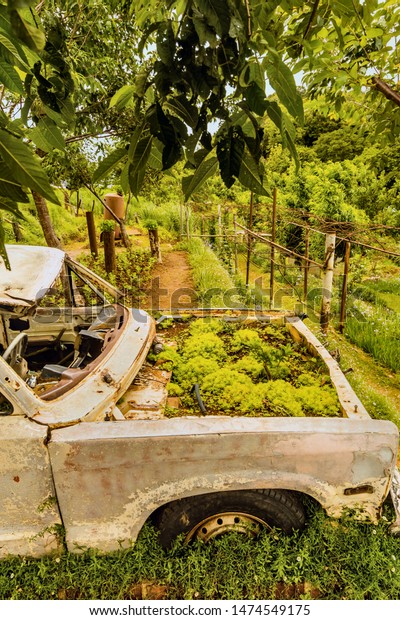 Old truck with engine and seats removed and\
plants growing in engine compartment sitting in public park near\
Chiang Mai, Thailand.