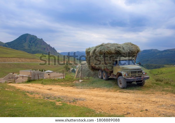 Old truck loaded with\
hay. Farming concept, harvesting feed for livestock.\
Karachay-Cherkessia.