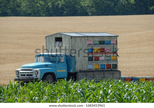 Old truck loaded with\
hives