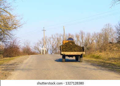 The old truck without cabin is lucky a full body of cow manure. A pitchfork sticks out of manure. Around early spring, the blue sky, trees without leaves. The asphalted road, the former USSR.
